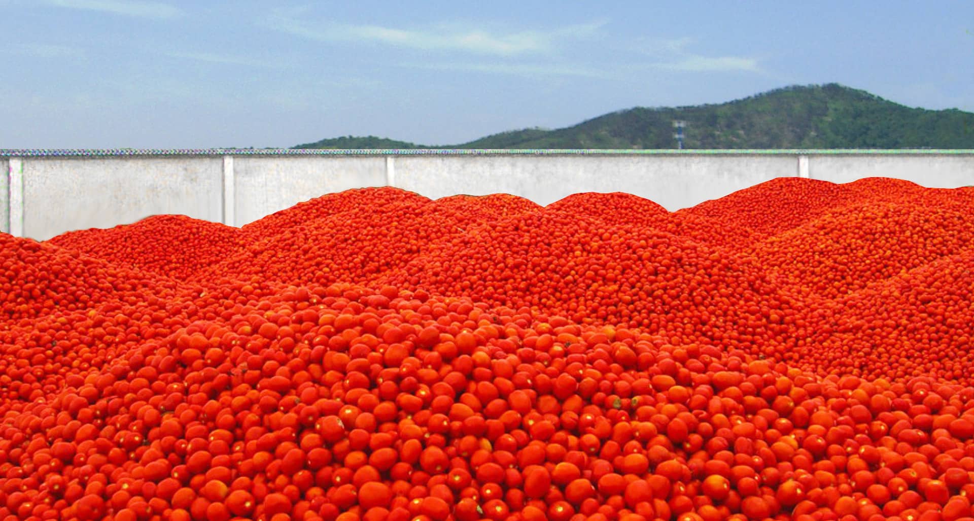 شرکت غذایی Ningbo Junyoufu ، آموزشی ویبولیتین